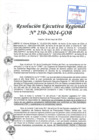Vista preliminar de documento RER 250-2024-GOB