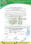 Vista preliminar de documento ACTA DE OTORGAMIENTO DE LA BUENA PRO - SUPERVISION