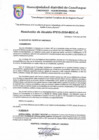 Vista preliminar de documento resolucion 15