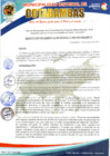 Vista preliminar de documento RESOLUCION DE GERENCIA MUNICIPAL N°040-2024-GM-MDC/C.