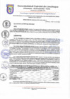 Vista preliminar de documento resolucion 17
