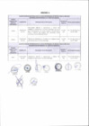 Vista preliminar de documento Anexo N° 130-2017-DV-PE