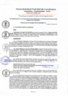 Vista preliminar de documento resolucion 19