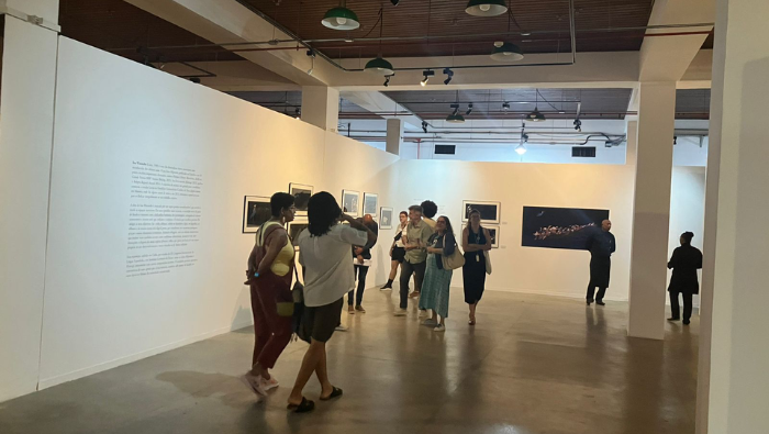 “Migrantes”: presentan exhibición de la artista peruana Issa Watanabe en Salvador de Bahía