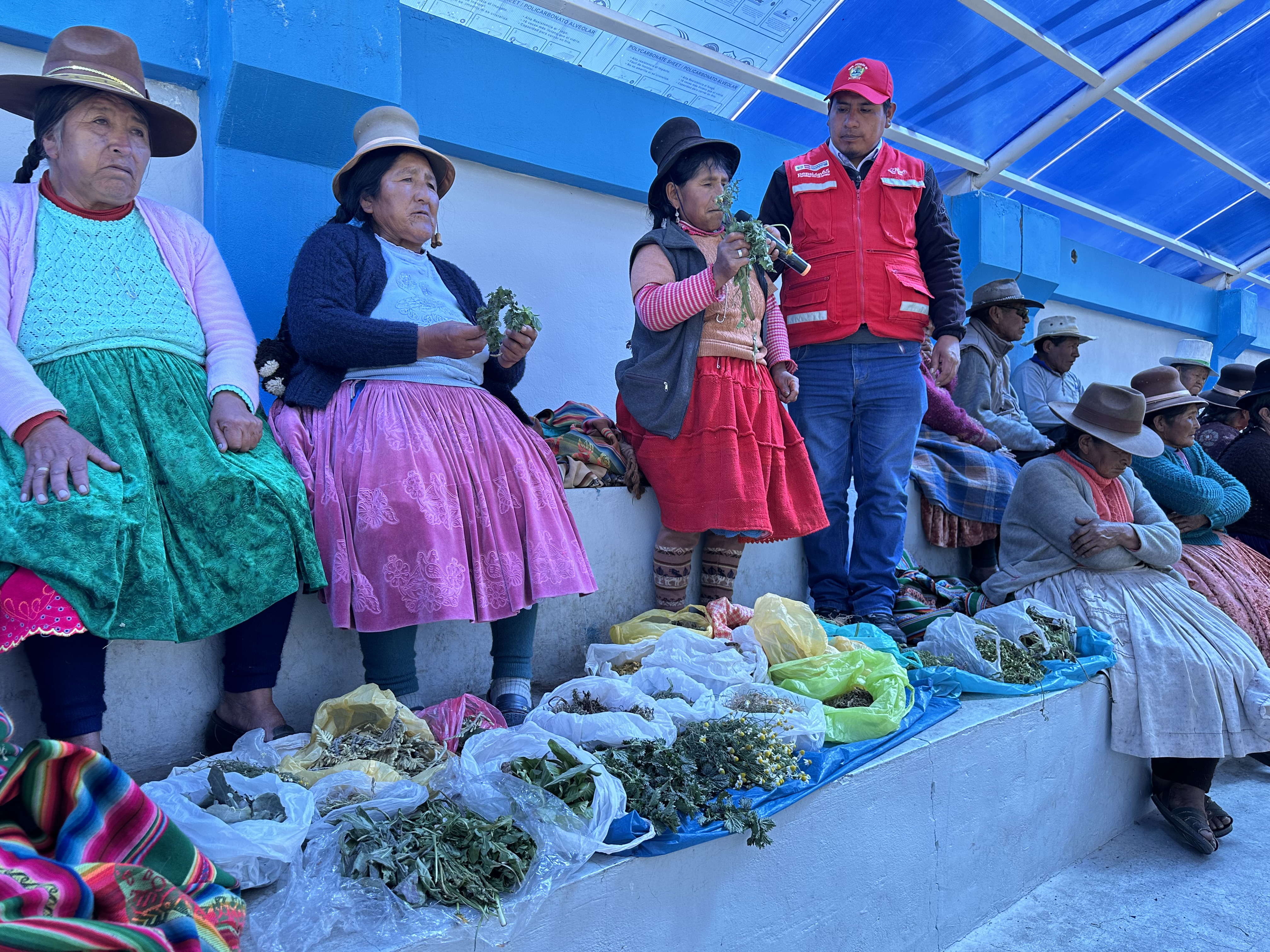 Imágenes del Dialogo de Saberes Productivos Nuñoa 
