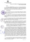 Vista preliminar de documento 293-CU-2024