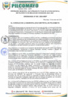 Vista preliminar de documento ORDENANZA MUNICIPAL N° 002-2024-MDP-CM