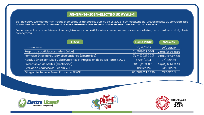 Adjudicación Simplificada N.º AS-SM-14-2024-ELECTRO UCAYALI-1