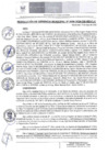 Vista preliminar de documento RGM 096 2024