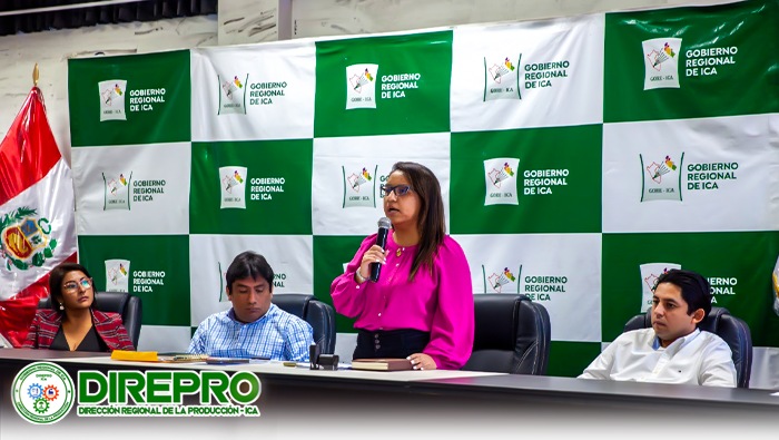 Reunión informativa sobre limites entre Ica y Arequipa.