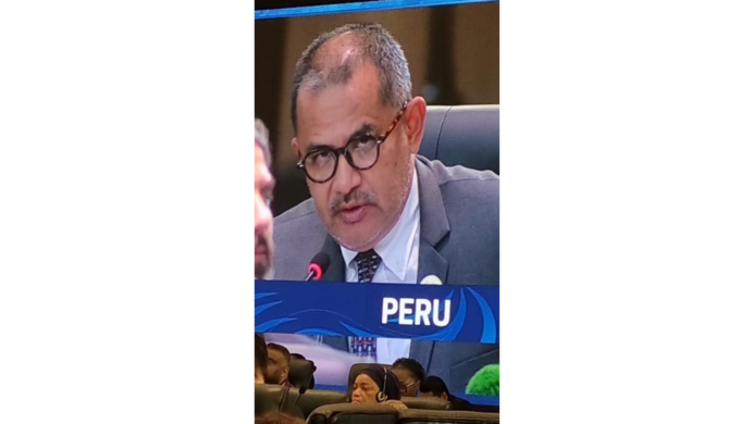 Perú participa en el 10º Foro Mundial del Agua en Indonesia