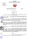Vista preliminar de documento Resolucion Directoral N° 003408-2024