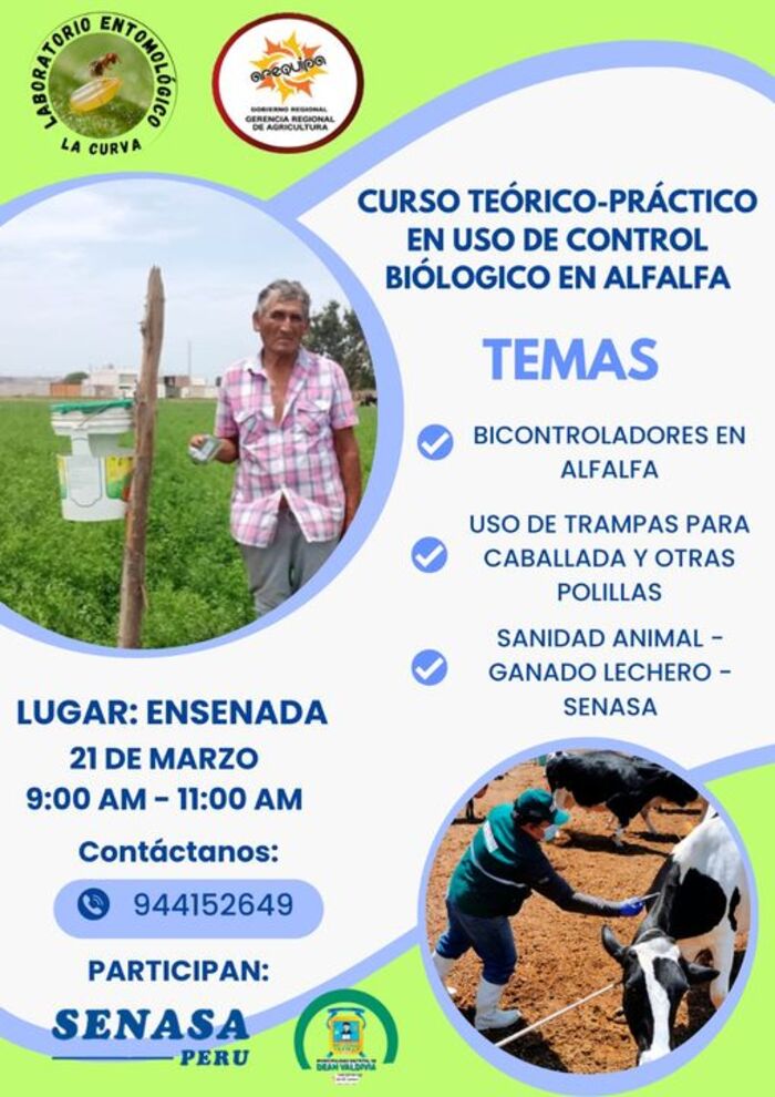 curso teórico