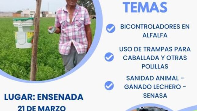 curso teórico 