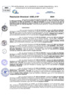 Vista preliminar de documento Resolucion Directoral N° 003421-2024