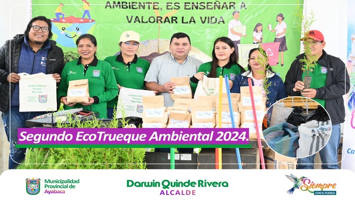 imagen6