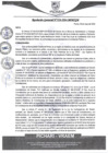 Vista preliminar de documento rgm226