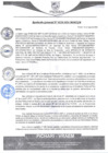 Vista preliminar de documento rgm228