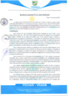 Vista preliminar de documento rgm231
