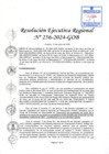 Vista preliminar de documento RER 256-2024-GOB