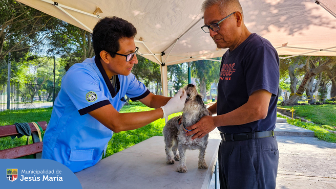 Agradecemos a los vecinos que asistieron con sus engreídos y recibieron servicios gratuitos. 🐾
✅ Este viernes 26 nos volvemos a encontrar desde las 9:00 am. en la Casa del Vecino - Jr. Estados Unidos 291.