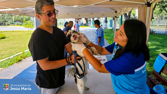 Agradecemos a los vecinos que asistieron con sus engreídos y recibieron servicios gratuitos. 🐾
✅ Este viernes 26 nos volvemos a encontrar desde las 9:00 am. en la Casa del Vecino - Jr. Estados Unidos 291.