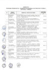 Vista preliminar de documento Anexo N° 148-2017-DV-PE