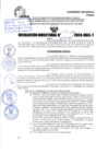 Vista preliminar de documento R.D 1155-2024