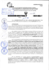 Vista preliminar de documento R.D 1157-2024