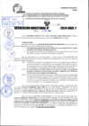 Vista preliminar de documento R.D 1161-2024