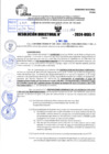Vista preliminar de documento R.D 1163-2024