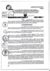 Vista preliminar de documento R.D 1177-2024