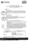 Vista preliminar de documento Bases del Proceso