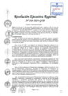 Vista preliminar de documento RER 263-2024-GOB