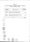 Vista preliminar de documento Anexo N° 154-2017-DV-PE