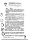 Vista preliminar de documento RGR0195-2024-GRI