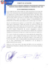 Vista preliminar de documento BUENA PRO HNOS. PUENTE