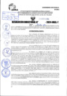 Vista preliminar de documento R.D 1195-2024