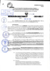 Vista preliminar de documento R.D 1196-2024