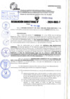 Vista preliminar de documento R.D 1208-2024