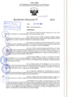 Vista preliminar de documento R.D 1217-2024