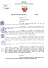 Vista preliminar de documento Resolucion Directoral N° 003446-2024