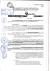 Vista preliminar de documento R.D 1223-2024