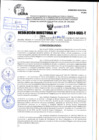 Vista preliminar de documento R.D 1226-2024