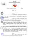 Vista preliminar de documento Resolucion Directoral N° 003452-2024