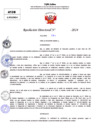 Vista preliminar de documento Resolucion Directoral N° 003453-2024