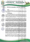 Vista preliminar de documento RESOLUCION DE ALCALDIA N° 184-2023-MPC-M-A