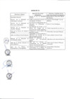 Vista preliminar de documento Anexo N° 159-2017-DV-PE