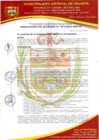Vista preliminar de documento RESOLUCION DE ALCALDIA N° 074-2024-MDV