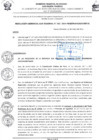 Vista preliminar de documento Resolucion N° 102-2024